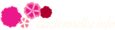 Gartennelke Logo